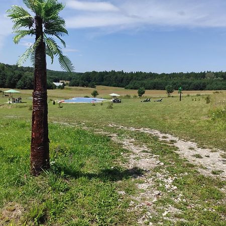 Stadnina Koni Tarka Звежинец Экстерьер фото