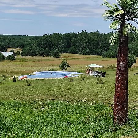 Stadnina Koni Tarka Звежинец Экстерьер фото