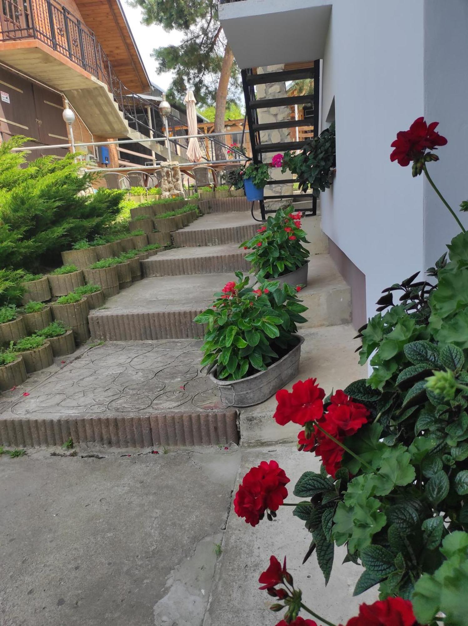 Stadnina Koni Tarka Звежинец Экстерьер фото