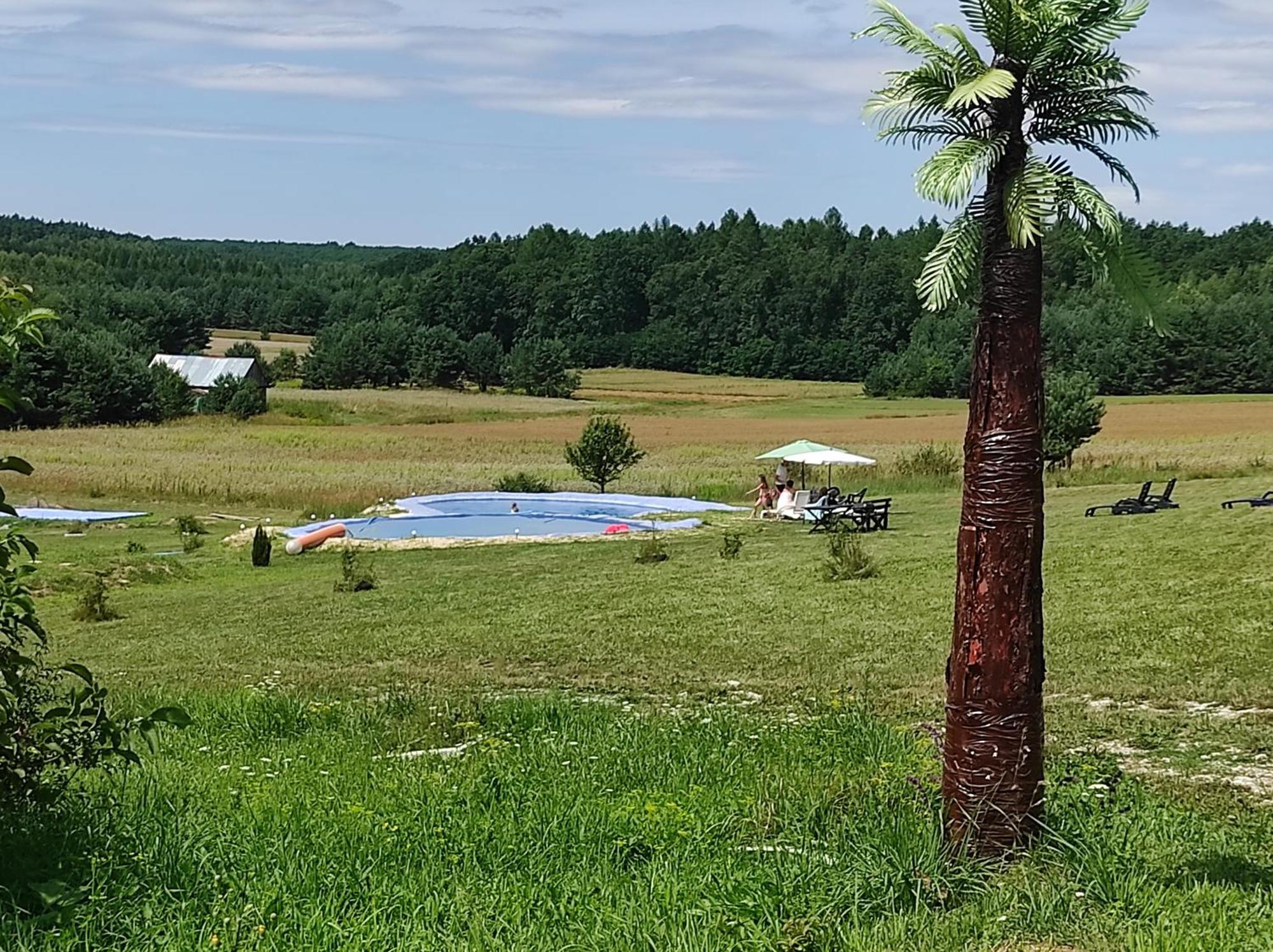 Stadnina Koni Tarka Звежинец Экстерьер фото